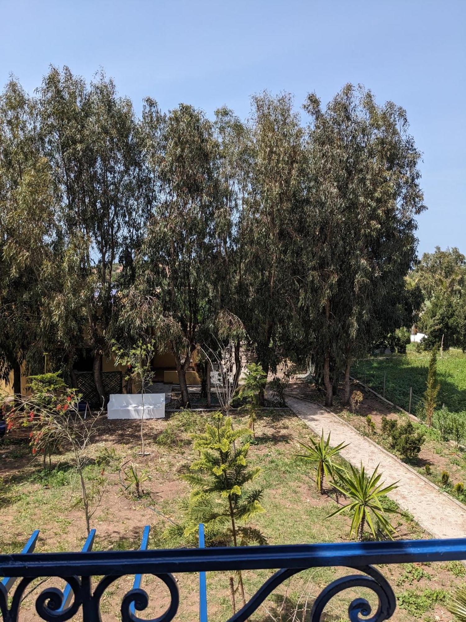 Mesdunes Azamor Exterior foto